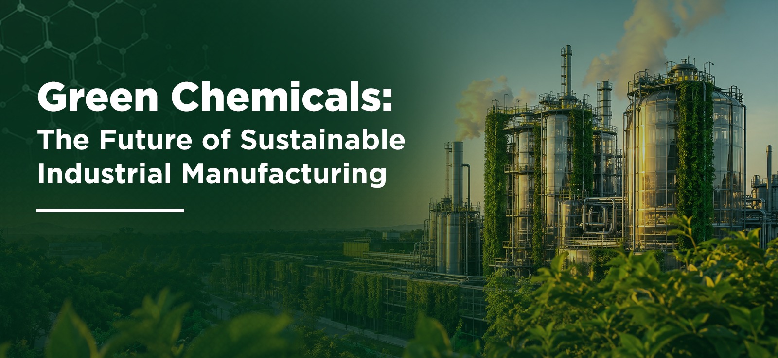 Green Chemicals: The Future of Sustainable Industrial Manufacturing