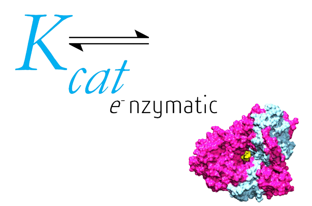 kcat enzymatic private limited