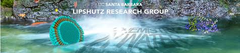 Lipshutz Research Group