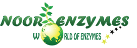 Noor Enzymes Pvt. Ltd.